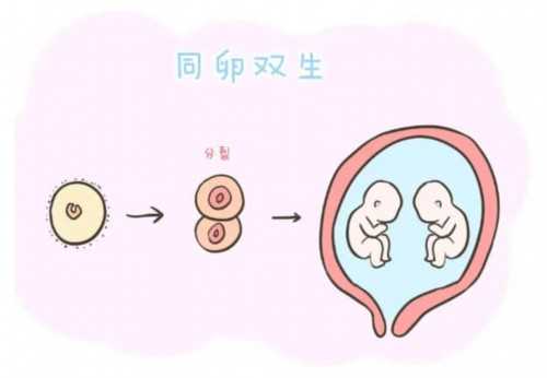 卵巢多囊治疗如何受孕