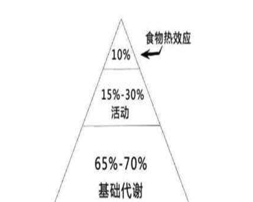 上海单身试管亲历：多囊卵巢b超能看出来吗？真实体感分享