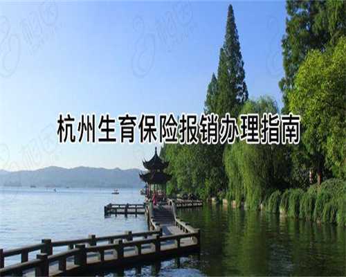 上海试管婴儿攻略：卵巢切除后还能怀孕吗？避坑指南